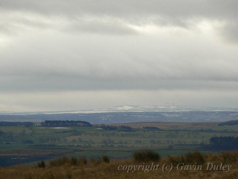 Distant Pennines, from Carrawburgh Temple of Mithras P1060751.JPG